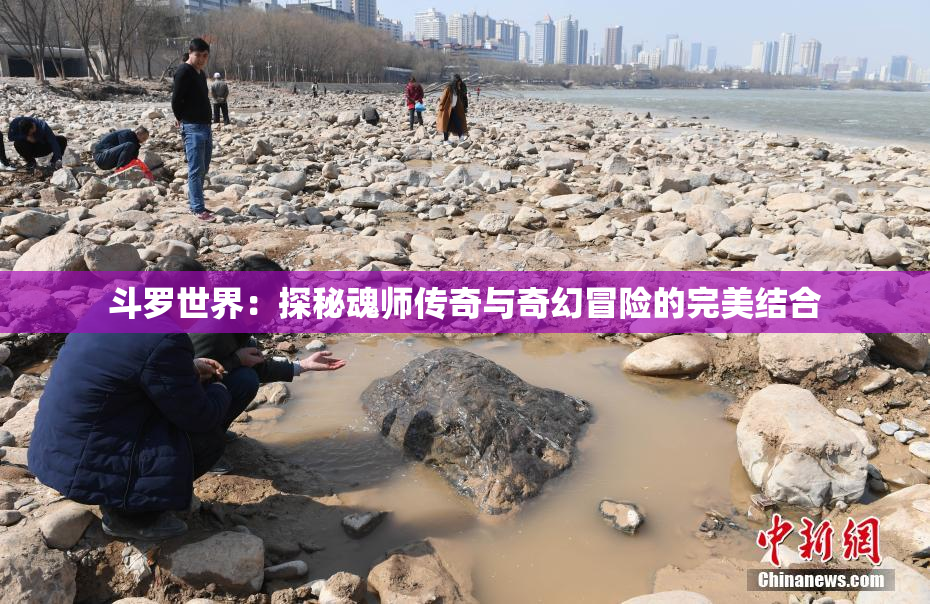 斗罗世界：探秘魂师传奇与奇幻冒险的完美结合
