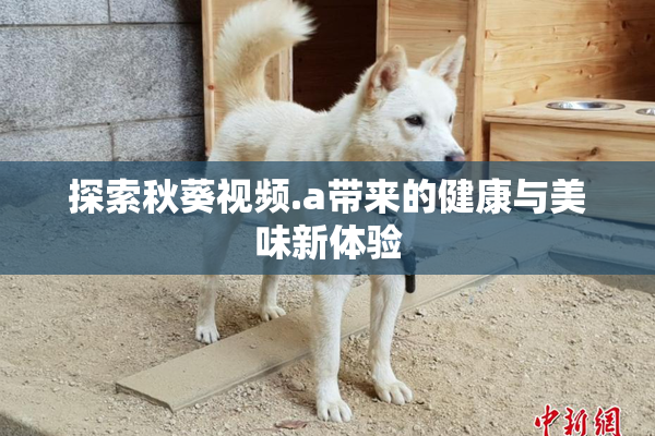 探索秋葵视频.a带来的健康与美味新体验