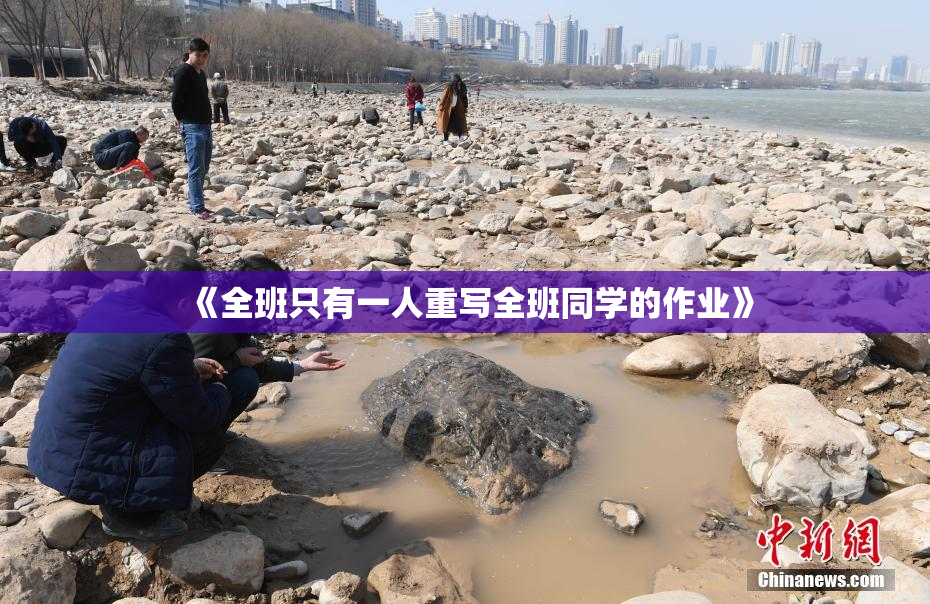 《全班只有一人重写全班同学的作业》