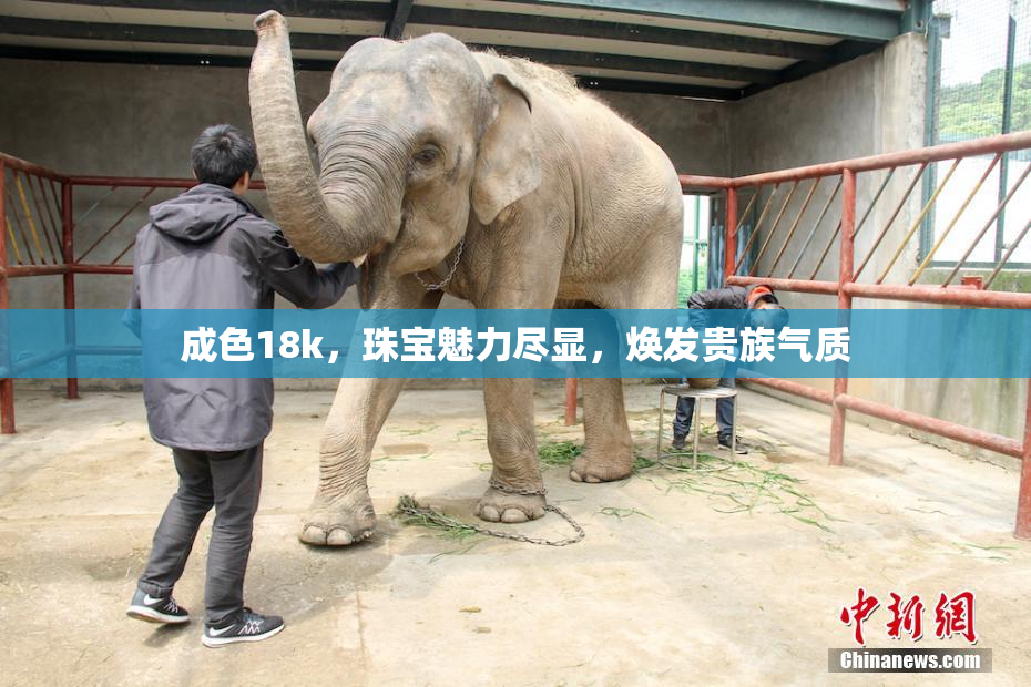 成色18k，珠宝魅力尽显，焕发贵族气质