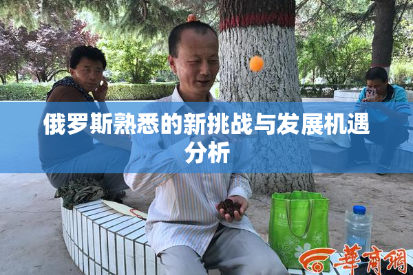 俄罗斯熟悉的新挑战与发展机遇分析