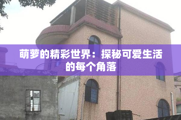 萌萝的精彩世界：探秘可爱生活的每个角落