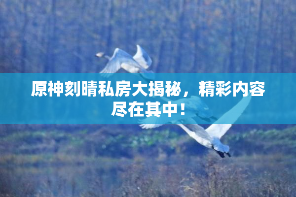 原神刻晴私房大揭秘，精彩内容尽在其中！