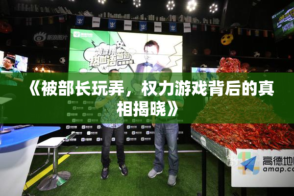 《被部长玩弄，权力游戏背后的真相揭晓》