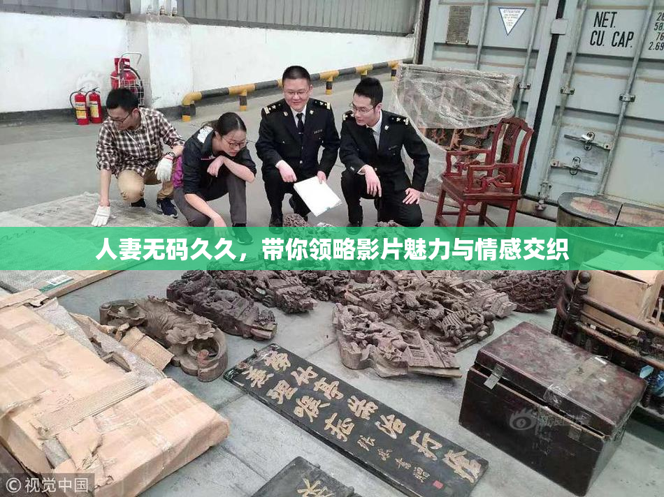 人妻无码久久，带你领略影片魅力与情感交织