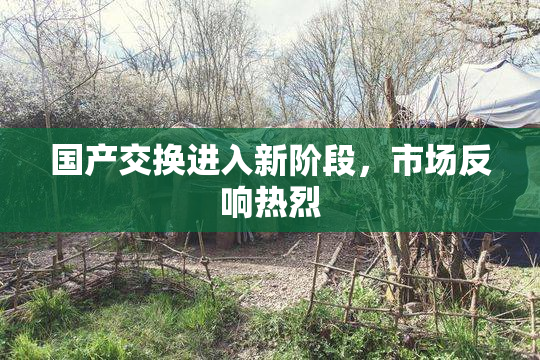 国产交换进入新阶段，市场反响热烈