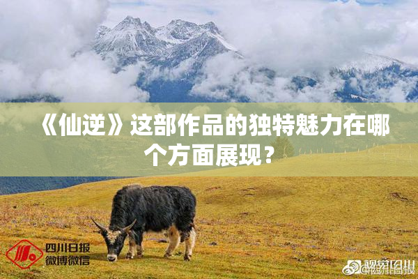 《仙逆》这部作品的独特魅力在哪个方面展现？