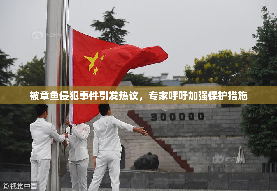 被章鱼侵犯事件引发热议，专家呼吁加强保护措施