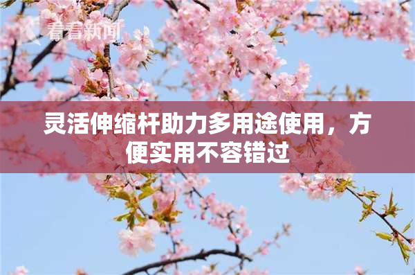 灵活伸缩杆助力多用途使用，方便实用不容错过