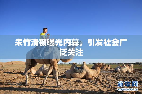 朱竹清被曝光内幕，引发社会广泛关注