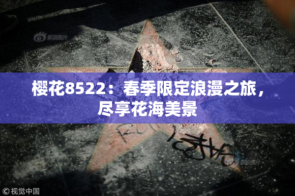 樱花8522：春季限定浪漫之旅，尽享花海美景
