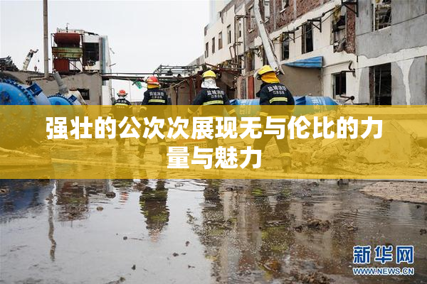 强壮的公次次展现无与伦比的力量与魅力