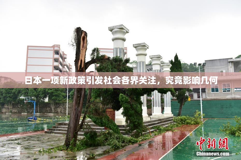 日本一项新政策引发社会各界关注，究竟影响几何