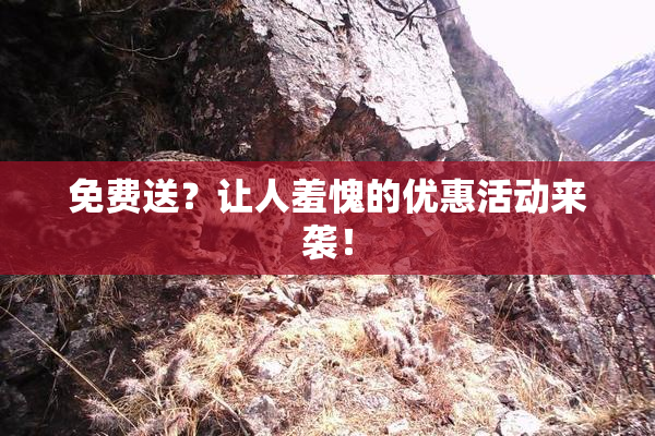 免费送？让人羞愧的优惠活动来袭！