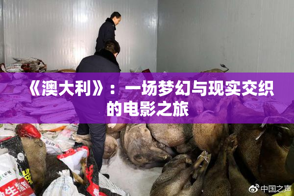 《澳大利》：一场梦幻与现实交织的电影之旅