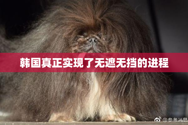 韩国真正实现了无遮无挡的进程