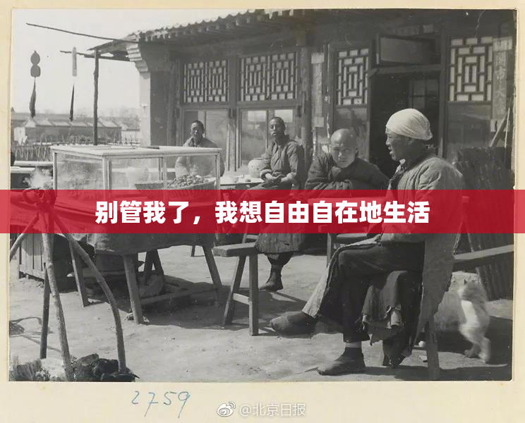 别管我了，我想自由自在地生活