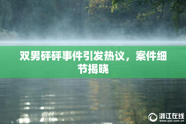 双男砰砰事件引发热议，案件细节揭晓