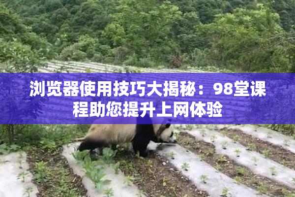浏览器使用技巧大揭秘：98堂课程助您提升上网体验