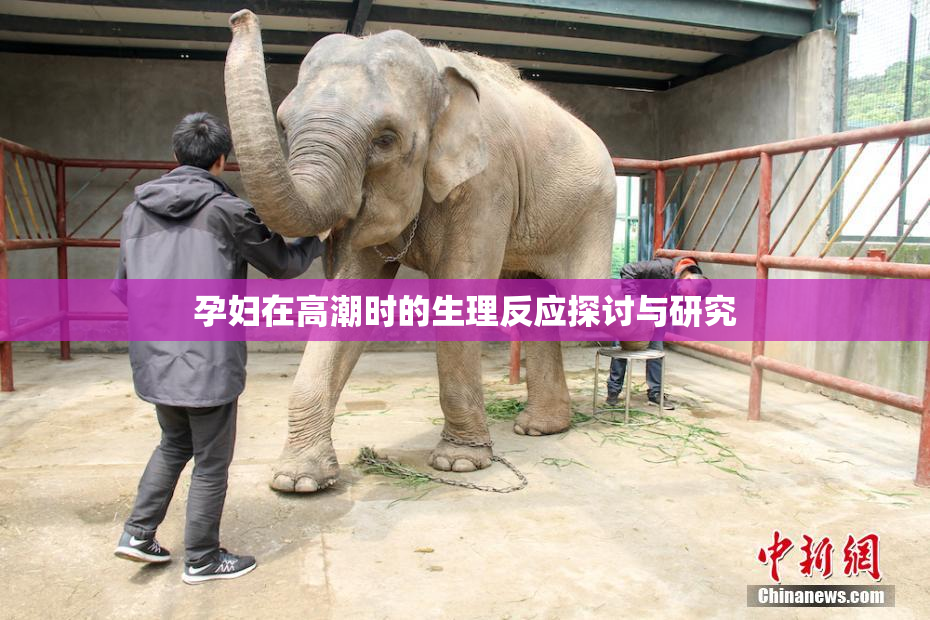 孕妇在高潮时的生理反应探讨与研究
