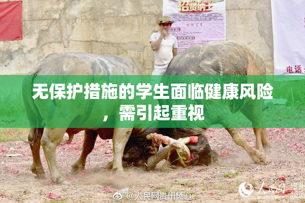 无保护措施的学生面临健康风险，需引起重视