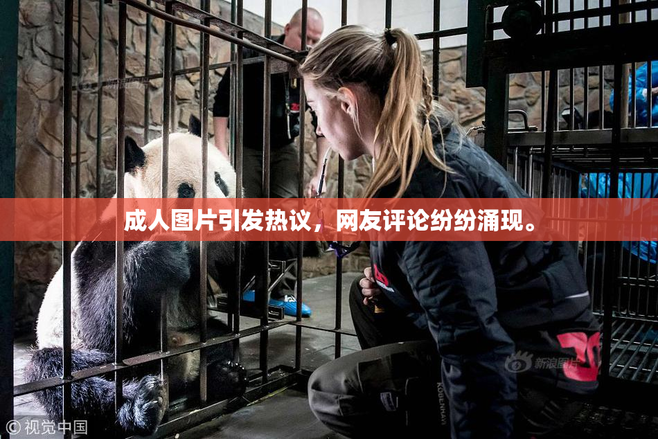 成人图片引发热议，网友评论纷纷涌现。