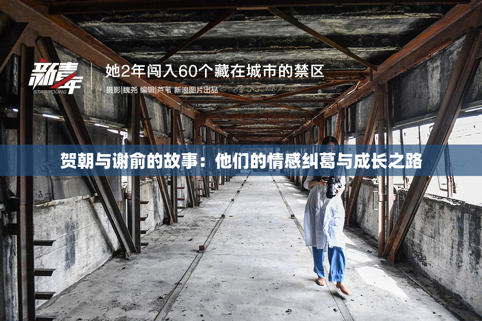 贺朝与谢俞的故事：他们的情感纠葛与成长之路