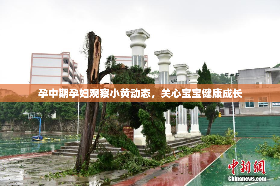 孕中期孕妇观察小黄动态，关心宝宝健康成长
