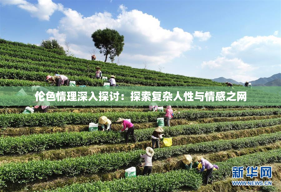 伦色情理深入探讨：探索复杂人性与情感之网