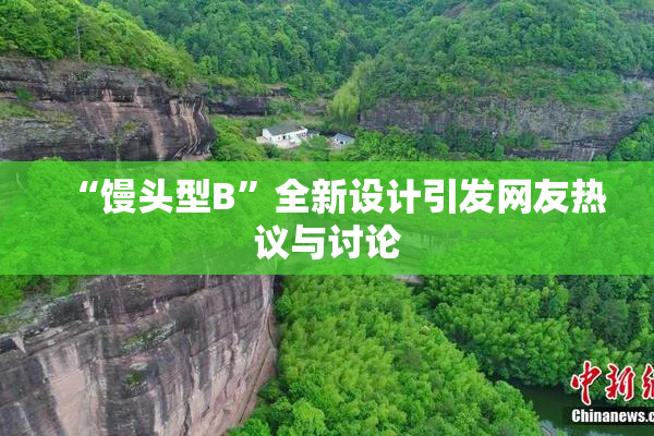 “馒头型B”全新设计引发网友热议与讨论