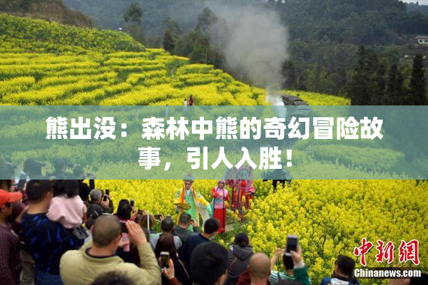 熊出没：森林中熊的奇幻冒险故事，引人入胜！
