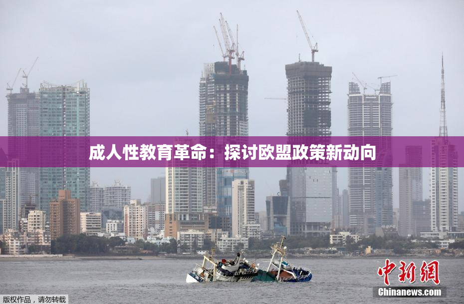 成人性教育革命：探讨欧盟政策新动向