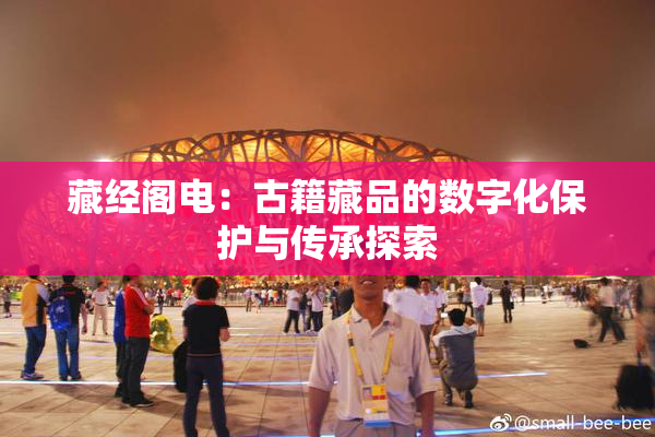 藏经阁电：古籍藏品的数字化保护与传承探索