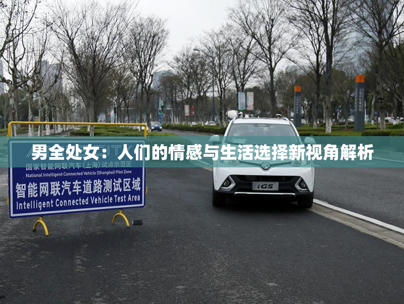 男全处女：人们的情感与生活选择新视角解析