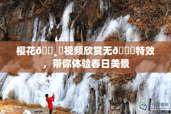 樱花🌸‌视频欣赏无🈚特效，带你体验春日美景