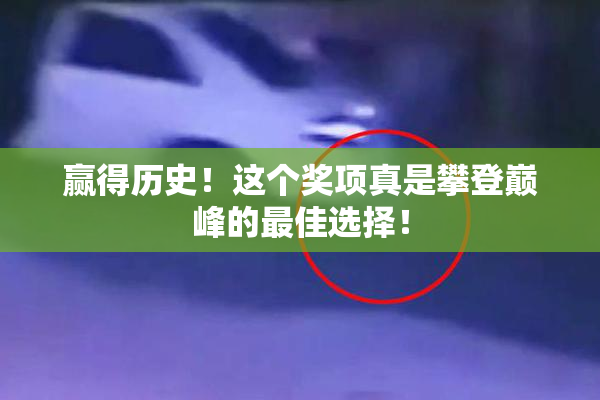 赢得历史！这个奖项真是攀登巅峰的最佳选择！