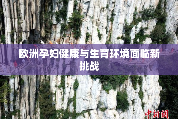 欧洲孕妇健康与生育环境面临新挑战