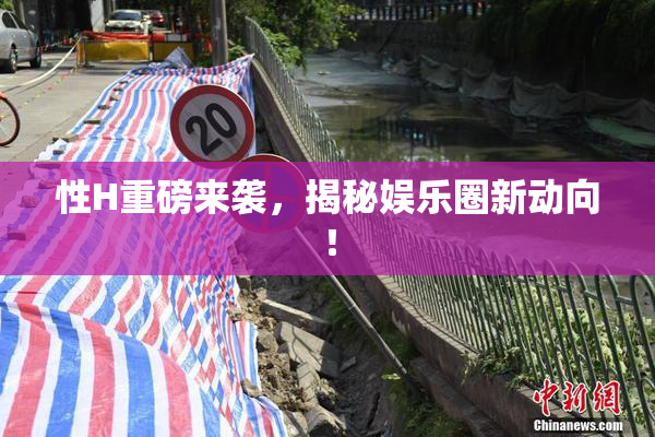 性H重磅来袭，揭秘娱乐圈新动向！