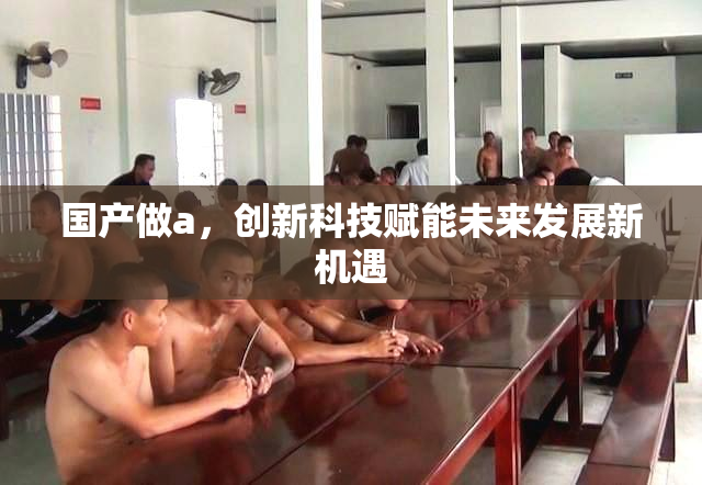 国产做a，创新科技赋能未来发展新机遇