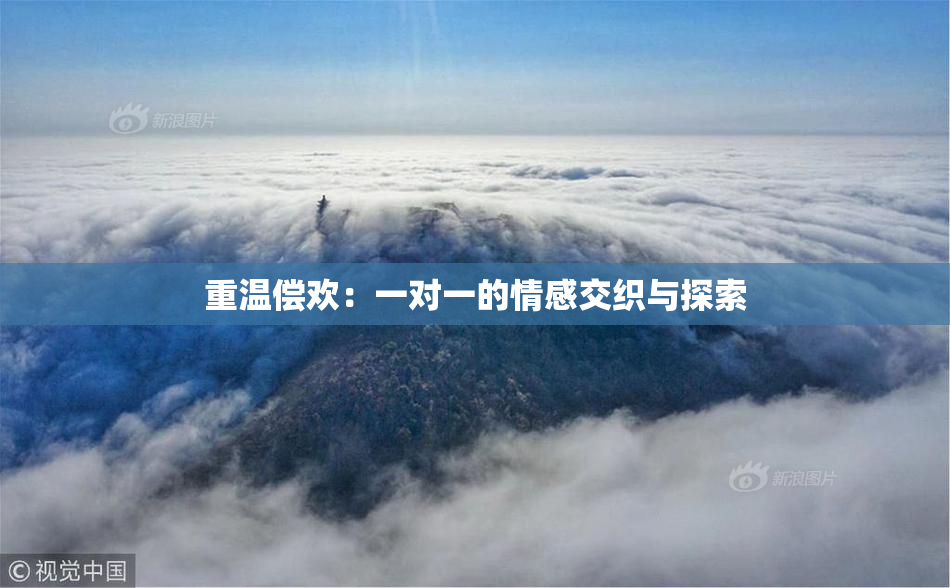 重温偿欢：一对一的情感交织与探索