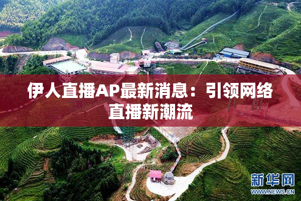 伊人直播AP最新消息：引领网络直播新潮流
