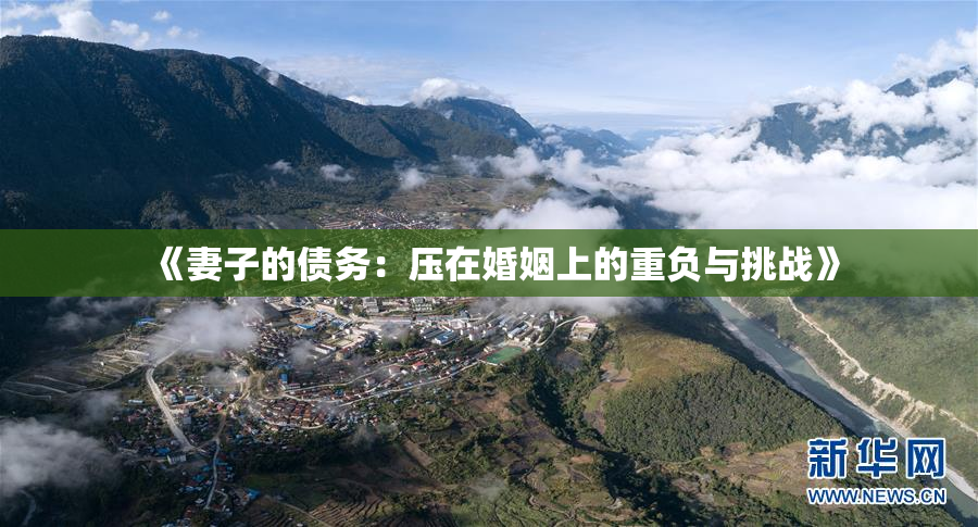《妻子的债务：压在婚姻上的重负与挑战》