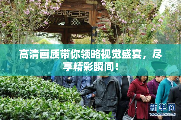 高清画质带你领略视觉盛宴，尽享精彩瞬间！