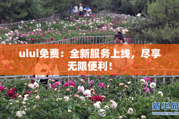 uiui免费：全新服务上线，尽享无限便利！