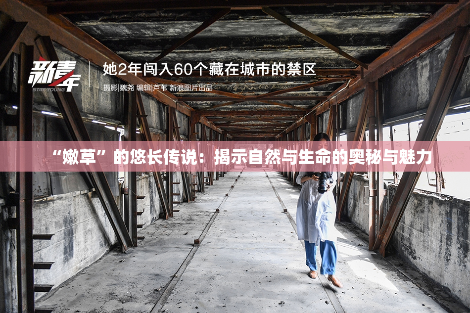 “嫩草”的悠长传说：揭示自然与生命的奥秘与魅力