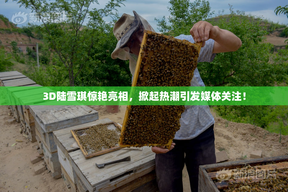 3D陆雪琪惊艳亮相，掀起热潮引发媒体关注！