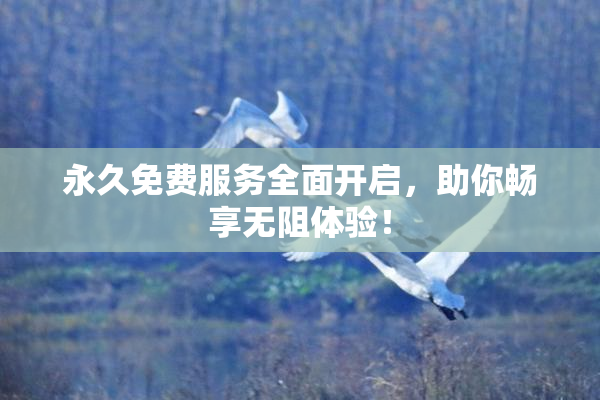 永久免费服务全面开启，助你畅享无阻体验！