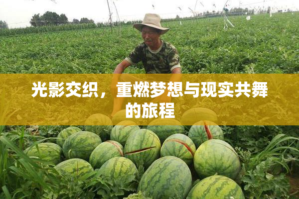 光影交织，重燃梦想与现实共舞的旅程