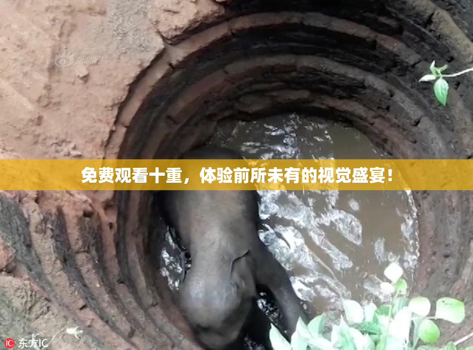 免费观看十重，体验前所未有的视觉盛宴！
