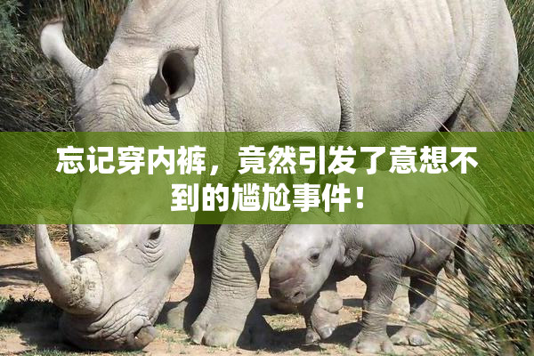 忘记穿内裤，竟然引发了意想不到的尴尬事件！